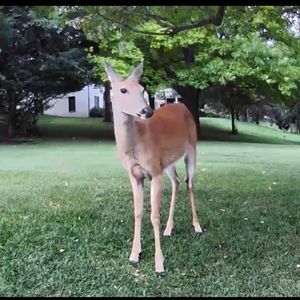 Meet your Posher, Marianne